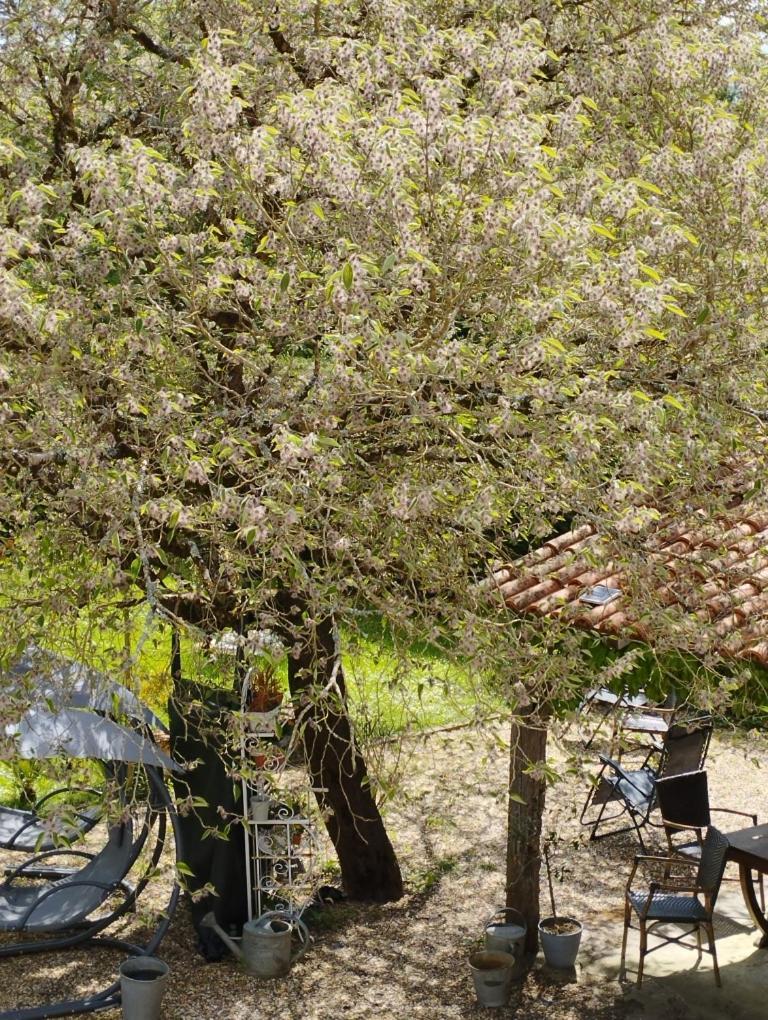 Au Coeur De Menesterol Chambre Emotion Montpon-Menesterol Zewnętrze zdjęcie